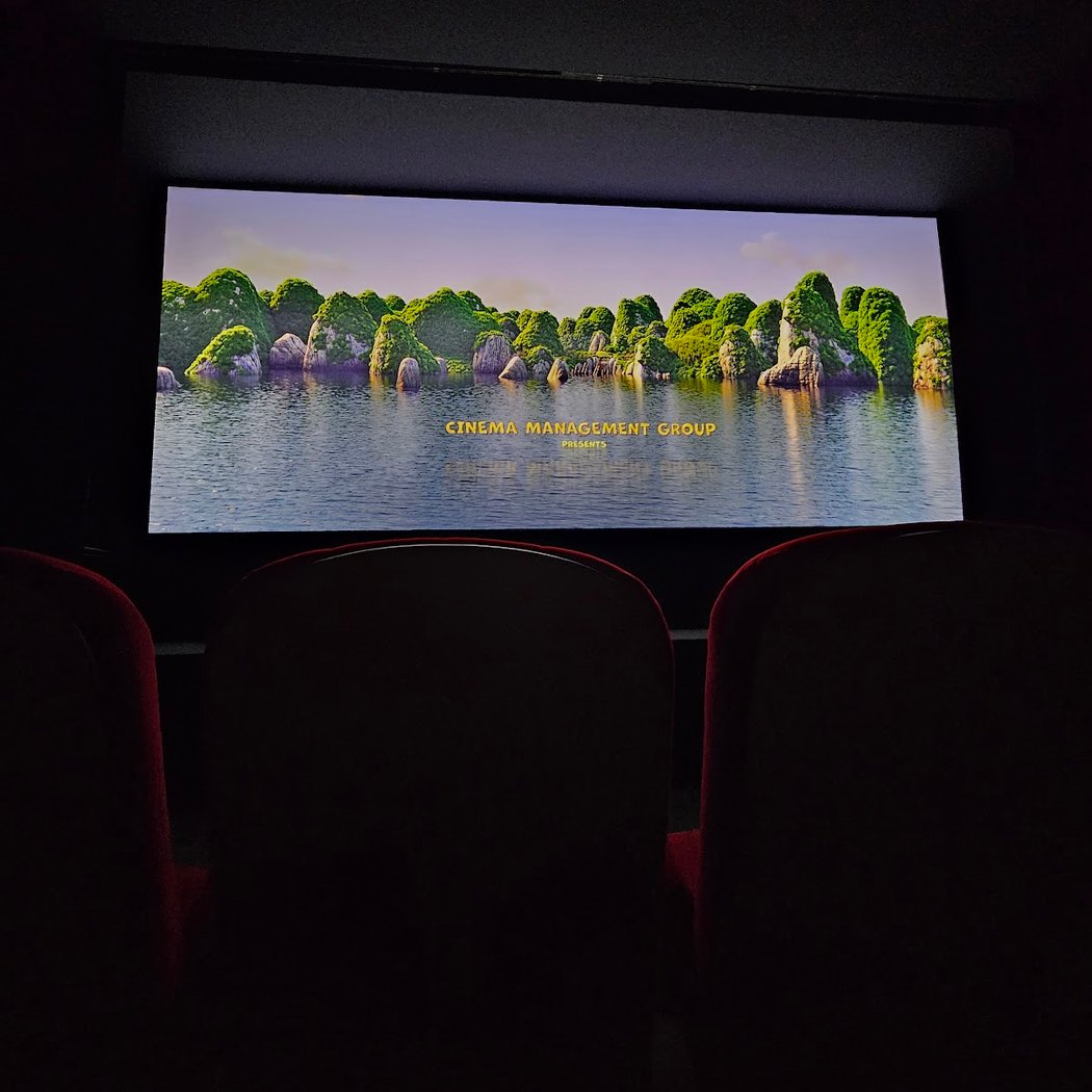 Cinéma Le Domino 3